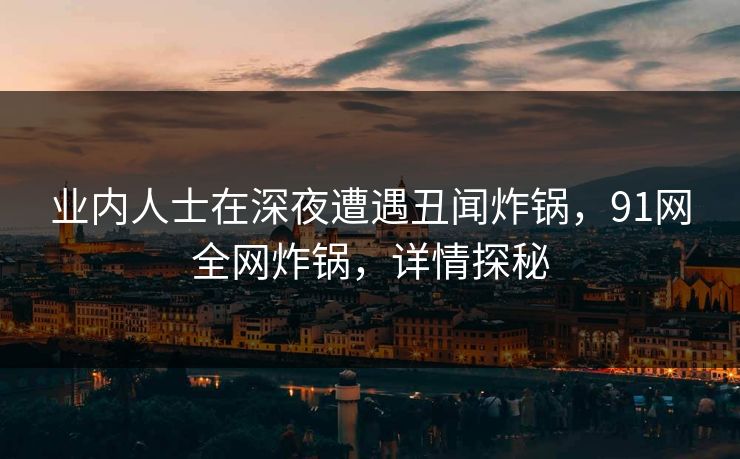 业内人士在深夜遭遇丑闻炸锅，91网全网炸锅，详情探秘