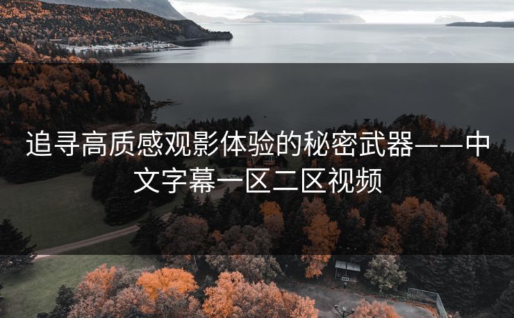追寻高质感观影体验的秘密武器——中文字幕一区二区视频