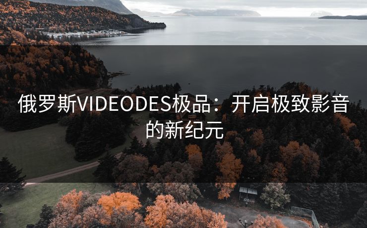 俄罗斯VIDEODES极品：开启极致影音的新纪元